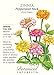 Peppermint Stick Blend Zinnia Seeds - 750 mg