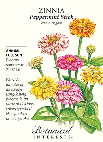 Peppermint Stick Blend Zinnia Seeds - 750 mg Peppermint Stick Blend Zinnia Seeds - 750 mg