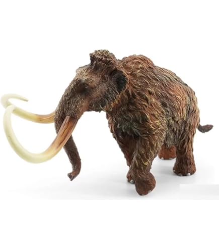 その他 PRE-ASSEMBLEDCOLLECTION BRAHMAN ELEPHAN その他 PRE