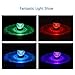 GIGALUMI Color-Changing Solar Lights Outdoor Garden Led Light Landscape/Pathway Lights Stainless Steel-4 Pack