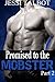 Promised to the Mobster 2: An Italian Mafia Romance
