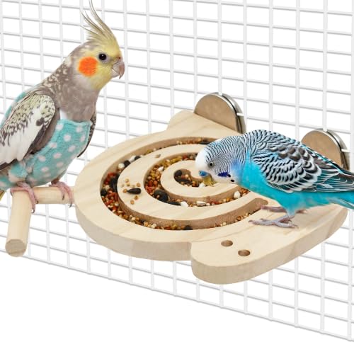 Jevnd Bird Foraging Toy with Perch