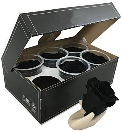 Preserved roses 6 pack extra large head roses color Black