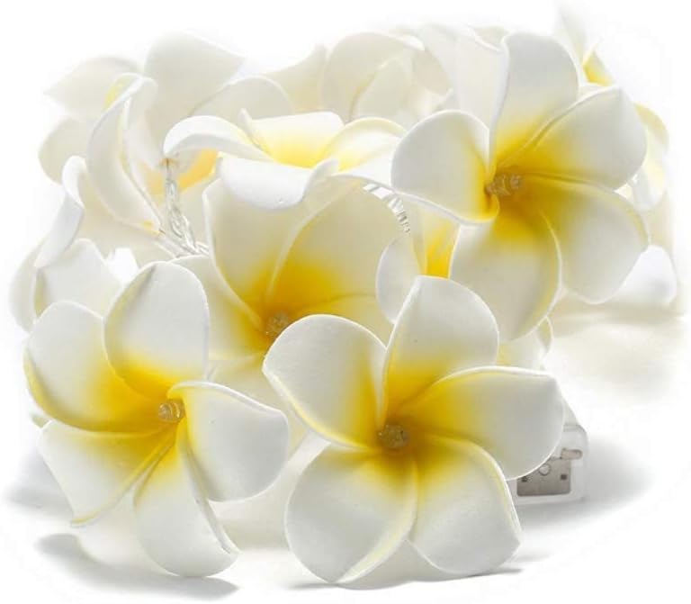 Fantes Plumeria String Lights - Image 5