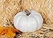Elanze Designs Classic White 6 inch Resin Harvest Decorative Pumpkin