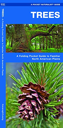 Trees: A Folding Pocket Guide to Familiar North American Plants (Wildlife and Nature Identification)