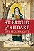 Saint Brigid of Kildare: Life, Legend and Cult by 