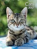 Cats Engagement Calendar 2017