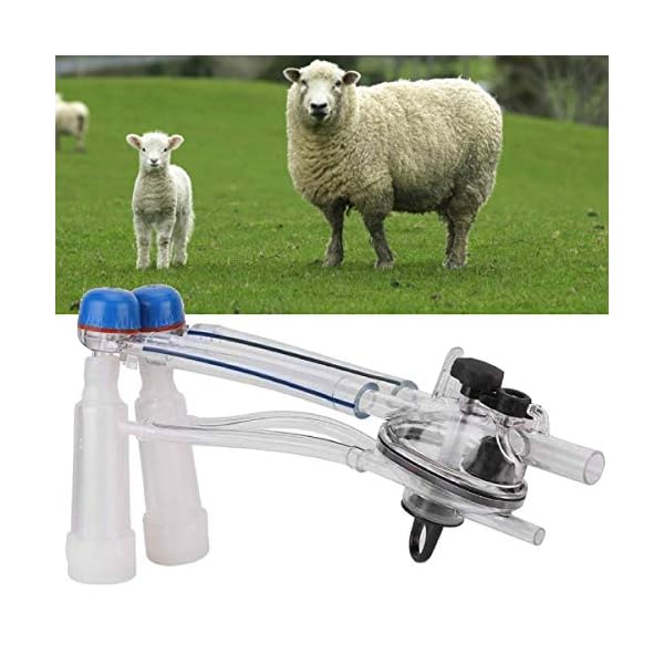 4 Guarnizioni Per Mungitrici Melasty - Gomma Per Tettarelle Per Mucche E Pecore - Foto 9