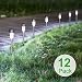 Sunnest Solar Powered Pathway Lights, Solar Garden Lights Outdoor, Stainless Steel Landscape Lighting for Lawn/Patio/Yard/Walkway/Driveway (12 Pack) primary
