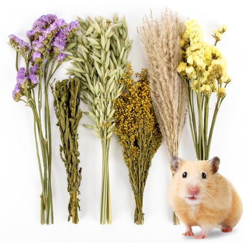 Sukh Hamster Habitat Sprays