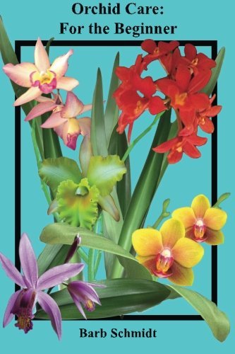 Orchid Care: For the Beginner