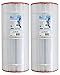 Unicel C-9410 100 Square Foot Media Replacement Pool Filter Cartridge with 155 Pleats, Compatible with Pentair, American, Pac Fab, & Sta-Rite (2 Pack)