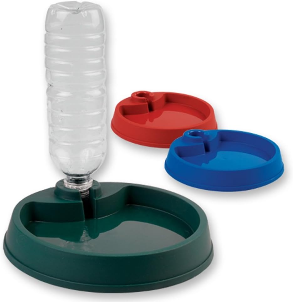 bob martin flea shampoo for dogs