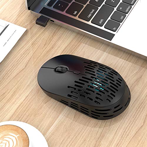 Type C Wireless Bluetooth Mouse, RAPIQUE Dual Mode Rechargeable Silent Cordless Bluetooth Mice with 2.4G Type C Receiver for Laptop,MacBook air/pro,iPad pro,Computer and All Type-C Device (Black)