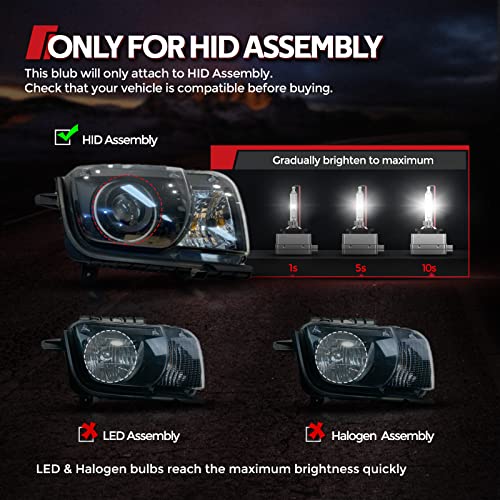 Torchbeam D3S HID Headlight Bulbs, 6000K Diamond White, High/Low Beam