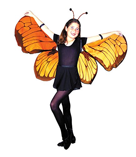 Wings Childs Butterfly Costume Accessory