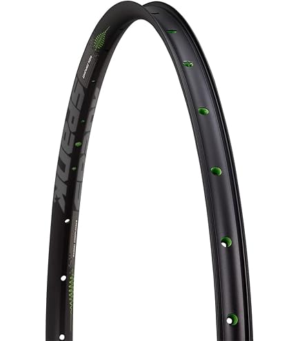 Amazon.com: DT Swiss E 550 Rim - 700, Disc, Black, 28h | E550