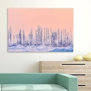 View of Trees and Snow in a Winter Sunset Time