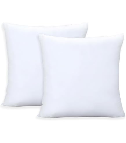 Amazon.com: OKBA Throw Pillows Insert Set of 2, with 100% Cotton