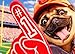 Coach Dog Avanti Funny Pug Birthday Card