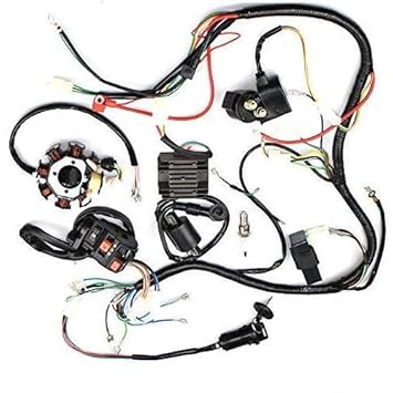 Amazon Com Complete Electrics Stator Coil Cdi Wiring