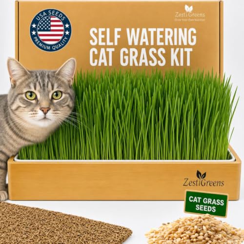 ZestiGreens Self-Watering Cat Grass Kit