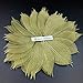 NAVA CHIANGMAI Rubber Tree Leaves - Pack of 100 Skeleton Leaves Decorative DIY Craft , Artificial Leaves Craft Card Scrapbook DIY Handmade Embellishment Decoration Art (Gold)