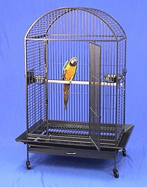 large bird cages amazon