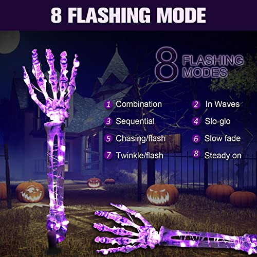 51EbhhPbR1L.jpg