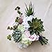 Supla 6 Assorted Fake Succulents Plants Picks Textured Artificial Succulents Unpotted Pick Succulent Stems Fake Succulent Bouquet String of Pearls Succulent Faux Succulent Floral Wall Art
