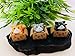 Neko 5pcs Miniature Cats in Boxes & Crescent Moon Figurines - Micro Garden Landscape Ornament Decorations – Cute Lucky Cat DIY Figures for Crafts and Home Decor