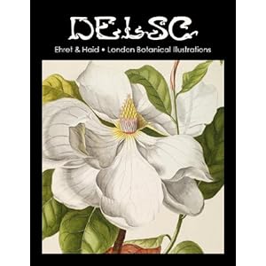 Ehret & Haid London Botanical Illustrations