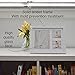 Baby Handprint Picture Frame Kit - Mold Free Treatment, 100% Glass Face, How to Video, Ideal Baby Shower Or Registry Gift for Newborn Boys Or Girls, Personalized Nursery Room Decor