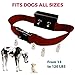 [NEW 2018 VERSION] Bark Collar with UPGRADED Smart Chip - Best Intelligent Dog Shock, Beep Anti-Barking Collar. No Bark Control for Medium/Large Dogs over 15 LBS - Stop Barking Safe