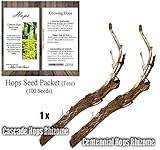 HOPS Seeds with 1 x Each of Cascade & Centennial Rhizomes - Humulus lupulus Bundle - Brew Your OWN BEER - Zones 3-8 - By Oakland Gardens (Hops Seeds with 1 each Cascade Centennial)