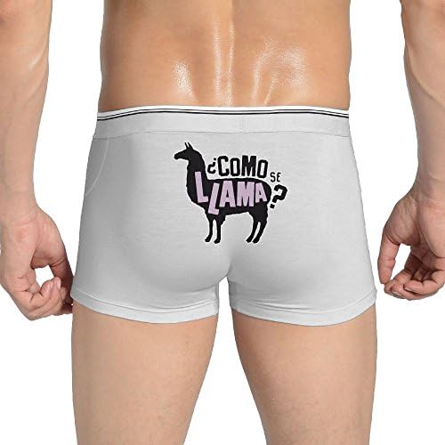 Como Se Llama Men's Custom Underwear Boxer Briefs