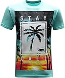 California Republic Stay Cali Men's T-Shirt - (X-Large) - Aqua