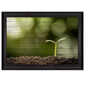 Small Plant Blooming from a Pile of Soil...