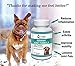 BestLife4Pets Dog Glucosamine Chondroitin and Turmeric Joint Pain Relief Supplement (60 Chews)