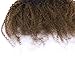 Afro Kinky Curly Human Hair Ponytail Extensions Remy Afro Kinky Curly Drawstring Ponytail 4B 4C Afro Ponytail For Natural Hair Curly Clip In Ponytail Extensions For Black Women One Piece 1B/4 12Inch
