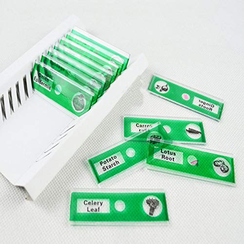 image for Yinpinxinmao 12Pcs DIY Specimen Microscope Slides Children Biology Sci