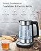 Electric Kettle,Homever 1.7L Glass Electric Tea kettle with Strainer,Cordless Kettle with Temperature Control,Auto Shut-Off and Boil-Dry Protection