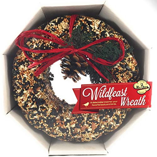 Mr. Bird Wildfeast Wreath Bird Seed Pricepulse