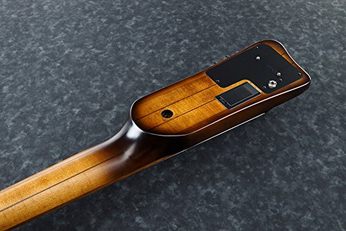 2 Ibanez+Bass+Workshop+UB804+Mahogany