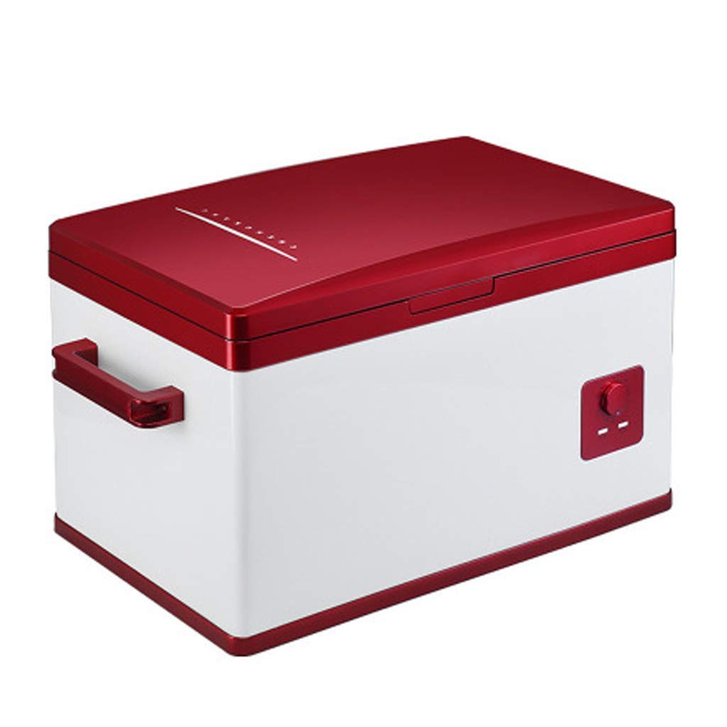 WYFMD Refrigerador para automóvil Mini 40L Pequeño refrigerador ...