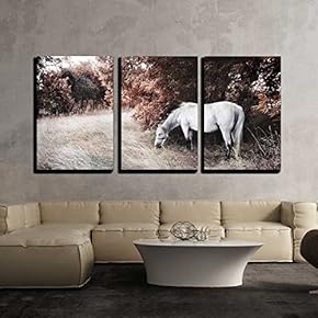 3 Piece Canvas Wall Art - White Horse - Modern Home Art Stretched and Framed Ready to Hang - 16"x24"x3 Panels