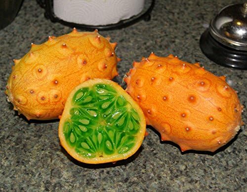 Kiwano Cucumis Metuliferus Horn Cucumber – 10 Seeds – Exotic - Foto 8
