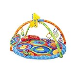 O Ball O-Play Activity Gym