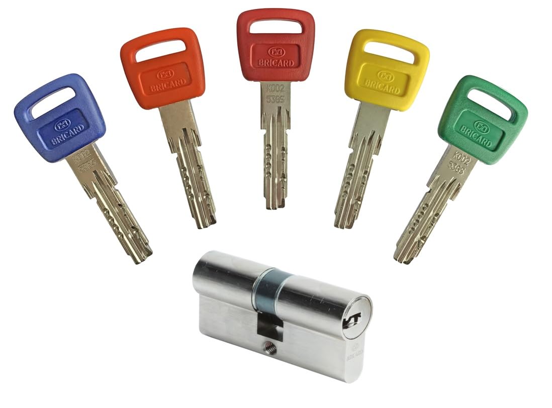 Bricard 16102 Olympia Lock Cylinder, Silver, 35+35